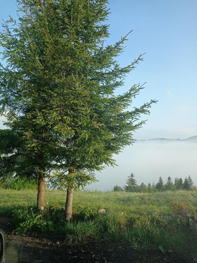 Ecottage Котедж Для Двох У Горах Із Чаном-Джакузі Slawske Exterior foto