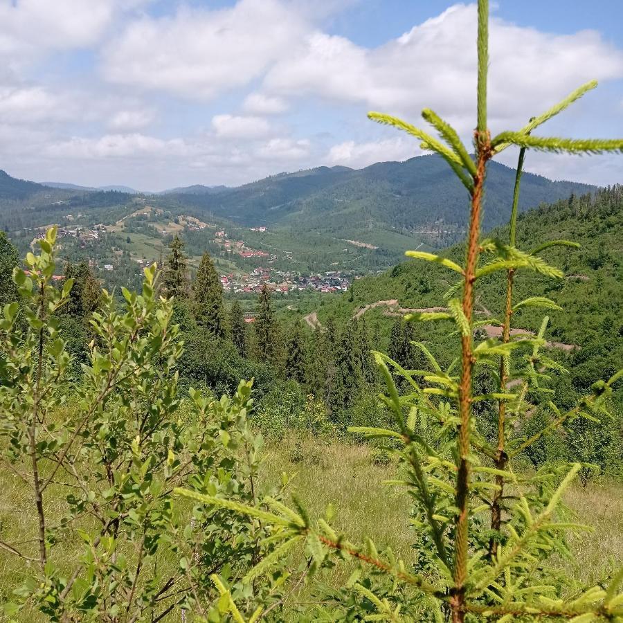 Ecottage Котедж Для Двох У Горах Із Чаном-Джакузі Slawske Exterior foto